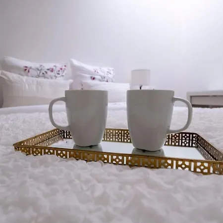 Magnifique Apt 3P - Parking Inclus - Bonnefoy شقة *